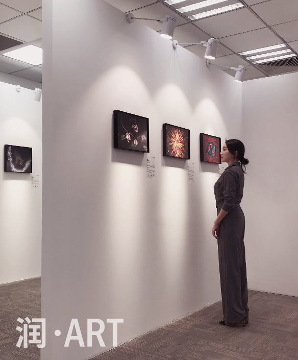 520“爱的表达式”影像展